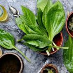 قیمت فروش بارهنگ