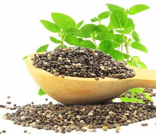 شرکت وارداتی تخم شربتی به ایران