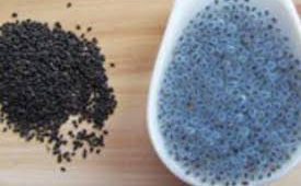 خرید و فروش تخم بالنگو