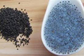 خرید و فروش تخم بالنگو