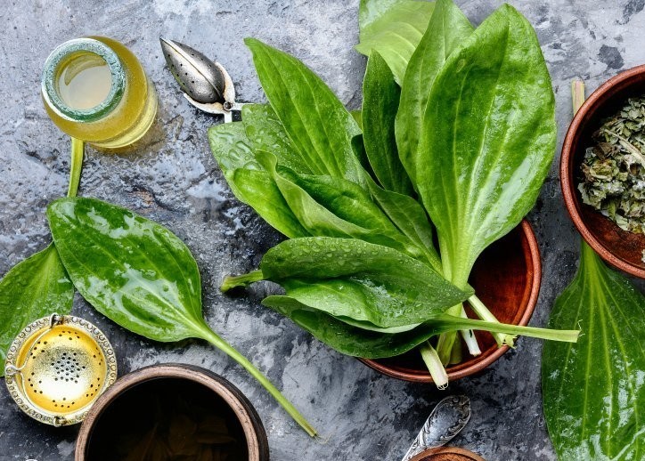 بارهنگ درجه یک