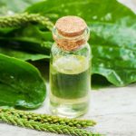 بارهنگ برای خلط گلو