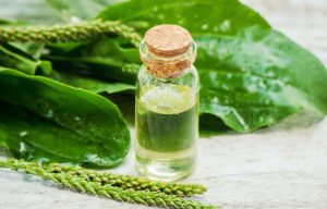 بارهنگ برای خلط گلو