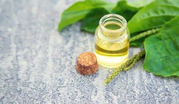 تأمین کننده عمده بارهنگ