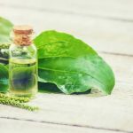 تخم بارهنگ با کیفیت تضمینی