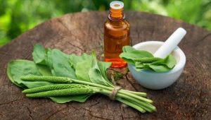 قیمت تخم بارهنگ