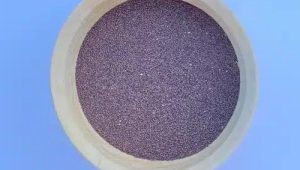 فروش آنلاین تخم بارهنگ