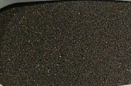 خرید مستقیم تخم بارهنگ