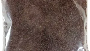 قیمت بارهنگ در بازار