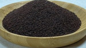 خرید عمده تخم بارهنگ