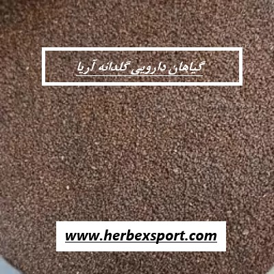 بازار خرید عمده بارهنگ