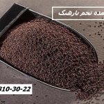 تأمین عمده تخم بارهنگ