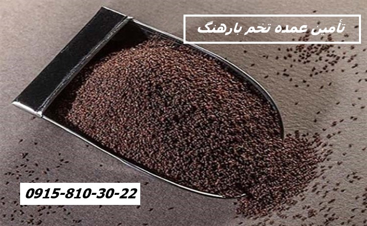 تأمین عمده تخم بارهنگ