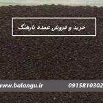 خرید اینترنتی تخم بارهنگ