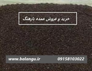 خرید اینترنتی تخم بارهنگ