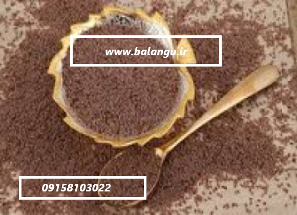 عرضه مستقیم تخم بارهنگ