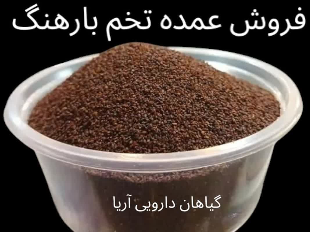 قیمت تخم بارهنگ