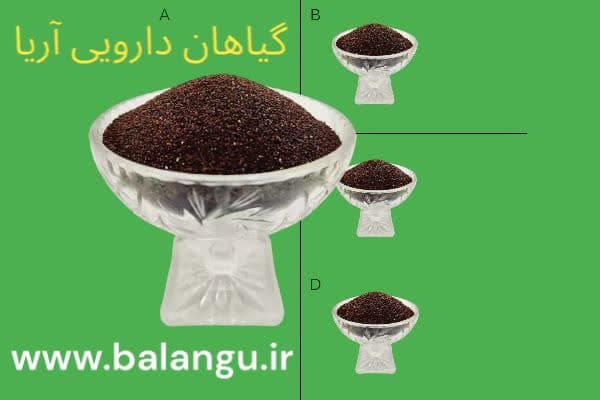 قیمت روز بارهنگ