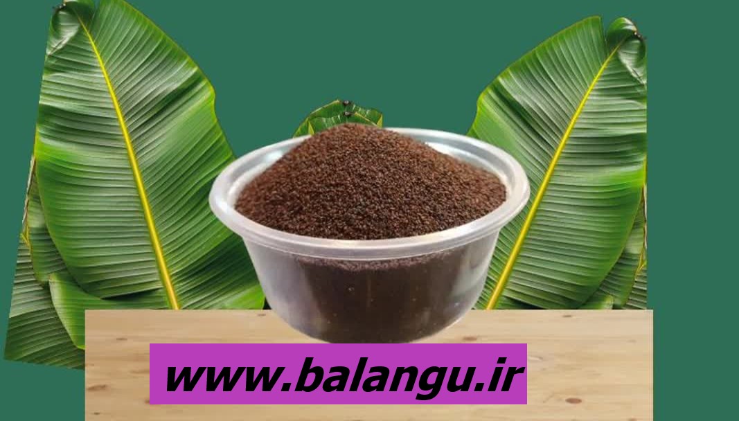 تخم بارهنگ عمده