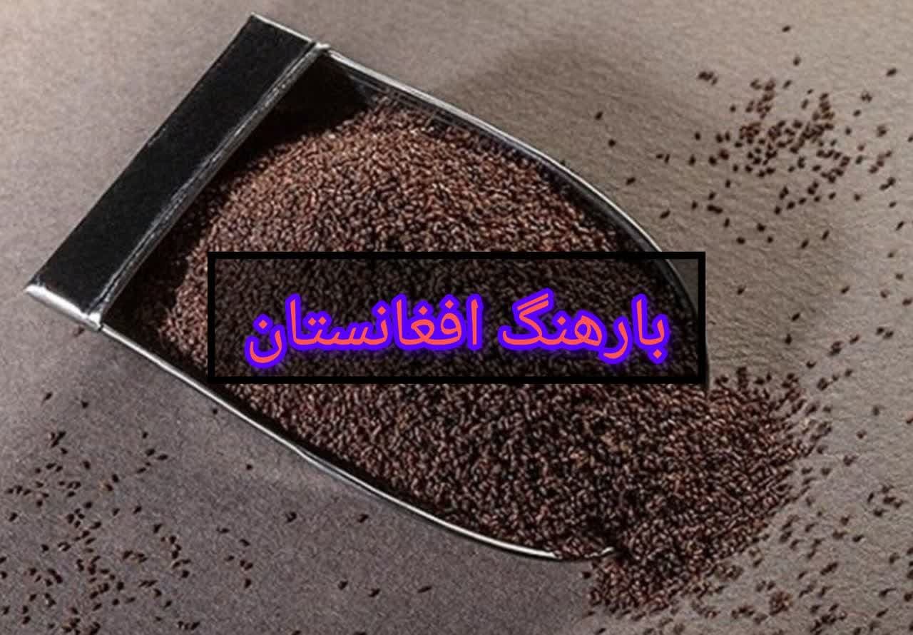 تخم بارهنگ عمده