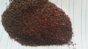 تخم بارهنگ ارزان قیمت