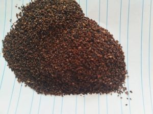 تخم بارهنگ ارزان قیمت