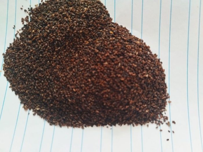 تخم بارهنگ ارزان قیمت