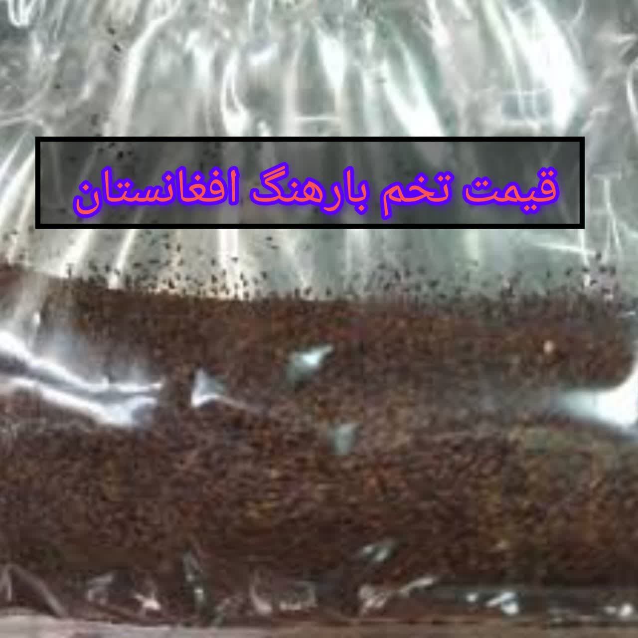 صادرات تخم بارهنگ