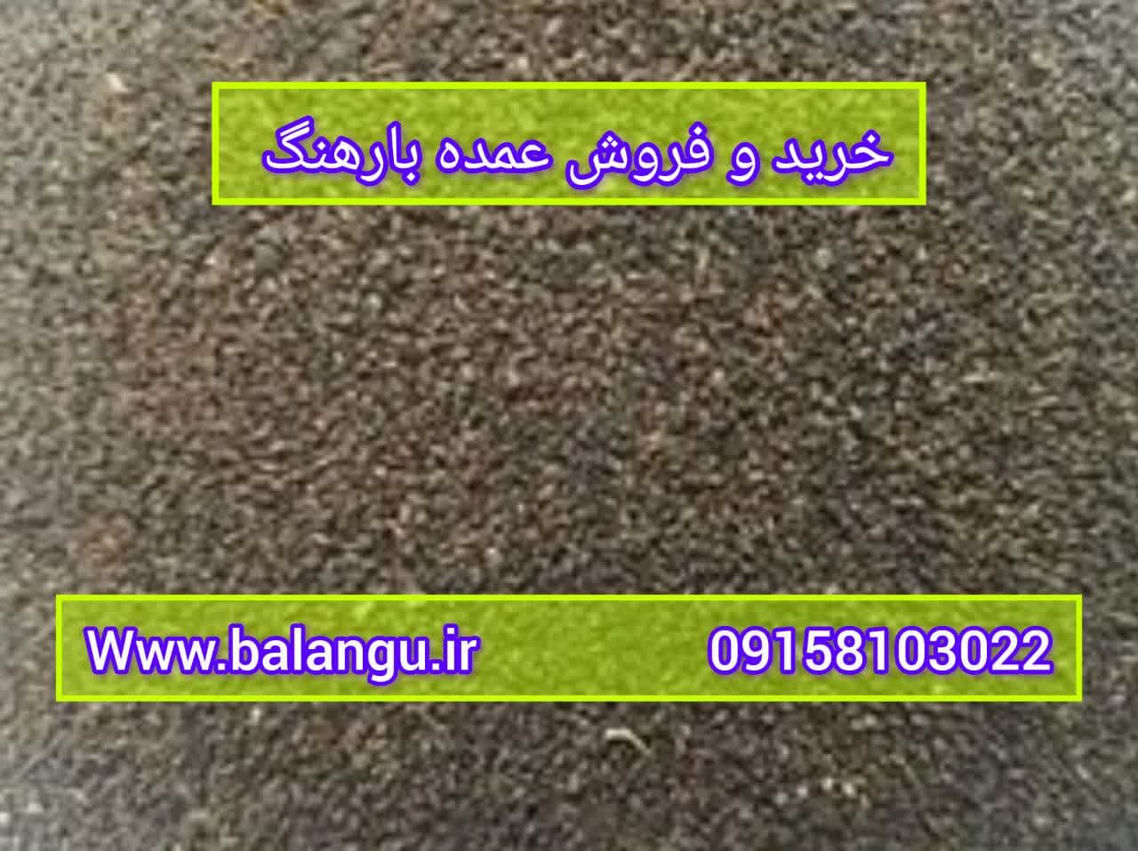 بهترین فروشگاه آنلاین