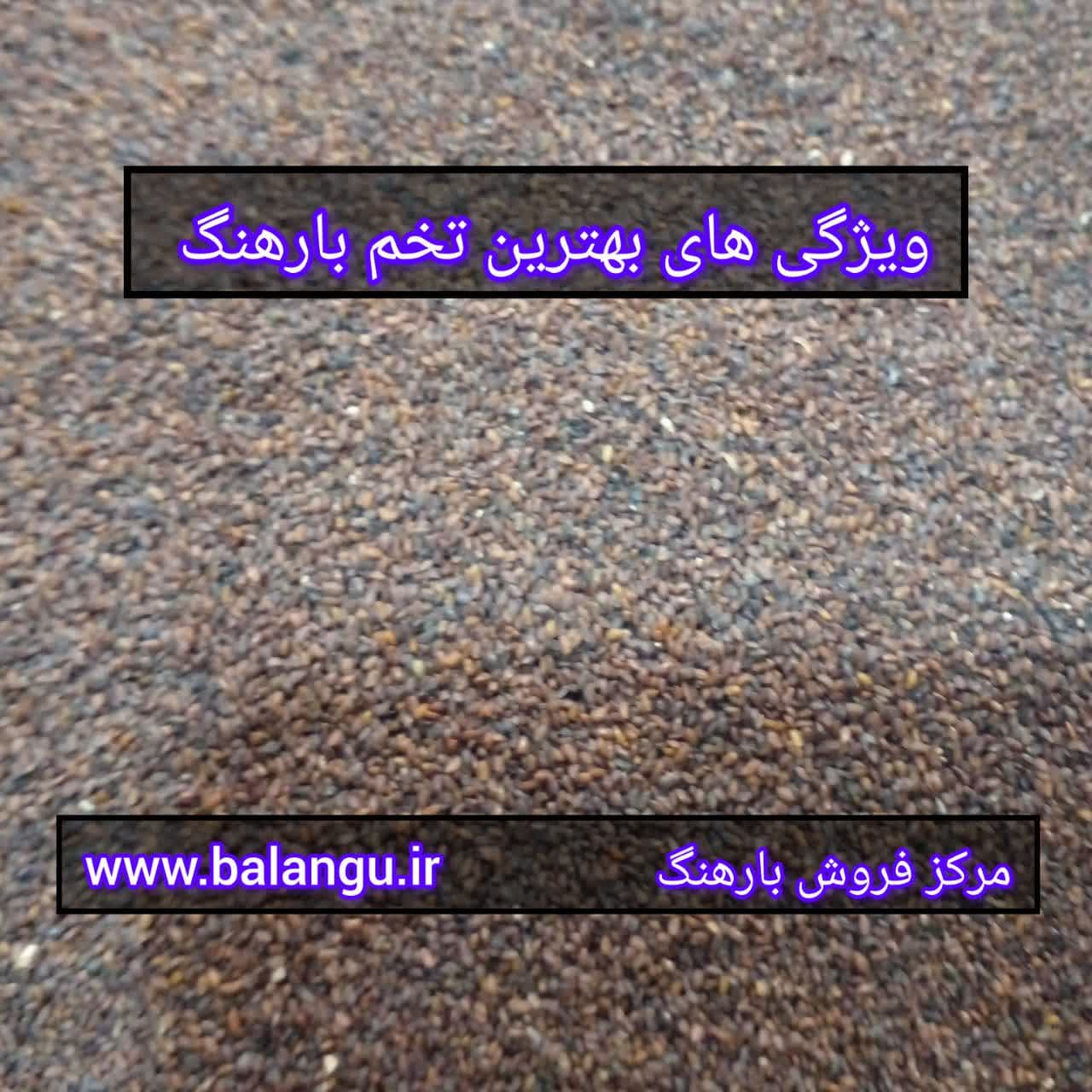 فروشگاه بارهنگ