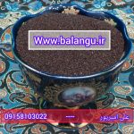 تخم بارهنگ عمده با قیمت