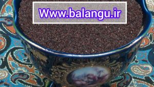 تخم بارهنگ عمده با قیمت