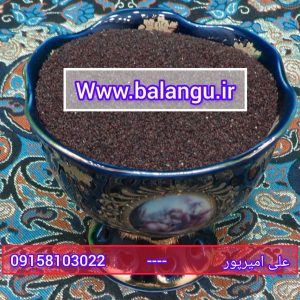 تخم بارهنگ عمده با قیمت