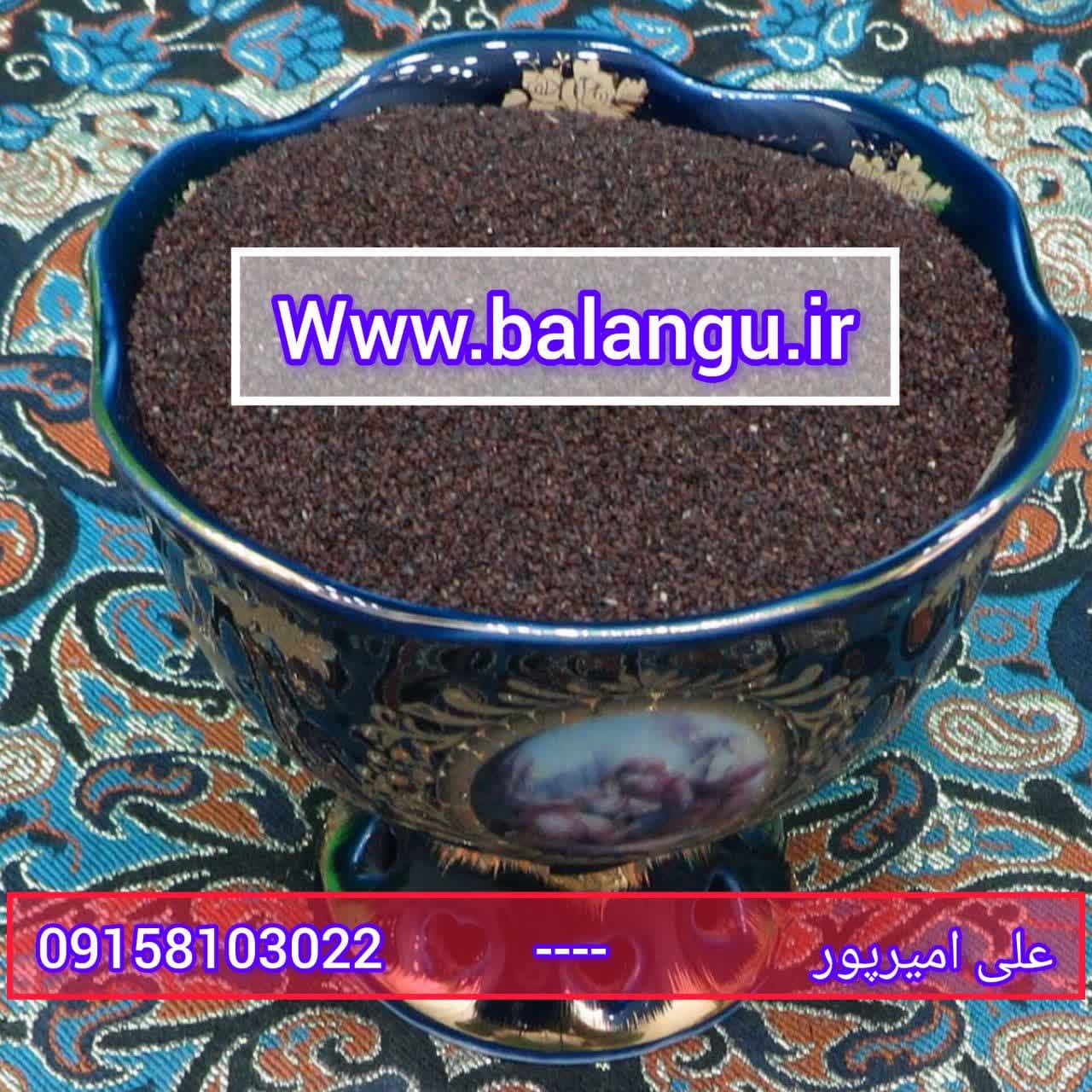 تخم بارهنگ عمده با قیمت