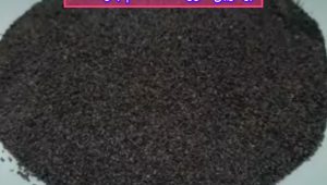 بهترین فروشگاه آنلاین