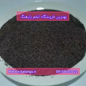 بهترین فروشگاه آنلاین