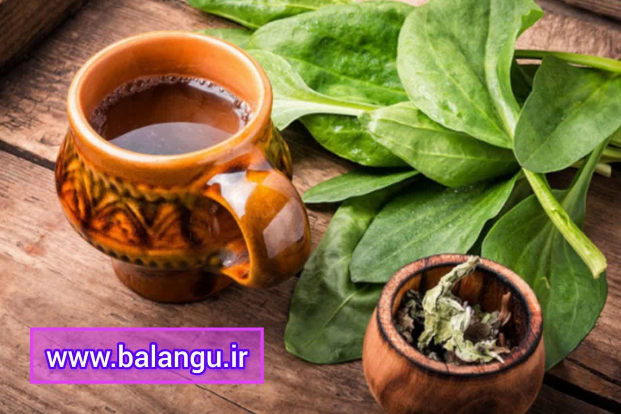 فروش ویژه تخم بارهنگ