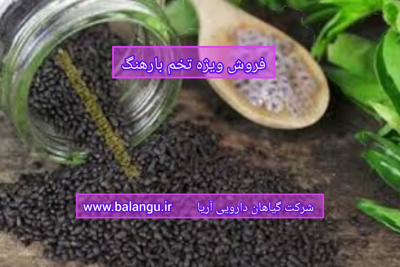 فروش ویژه تخم بارهنگ