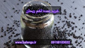 خرید عمده تخم ریحان