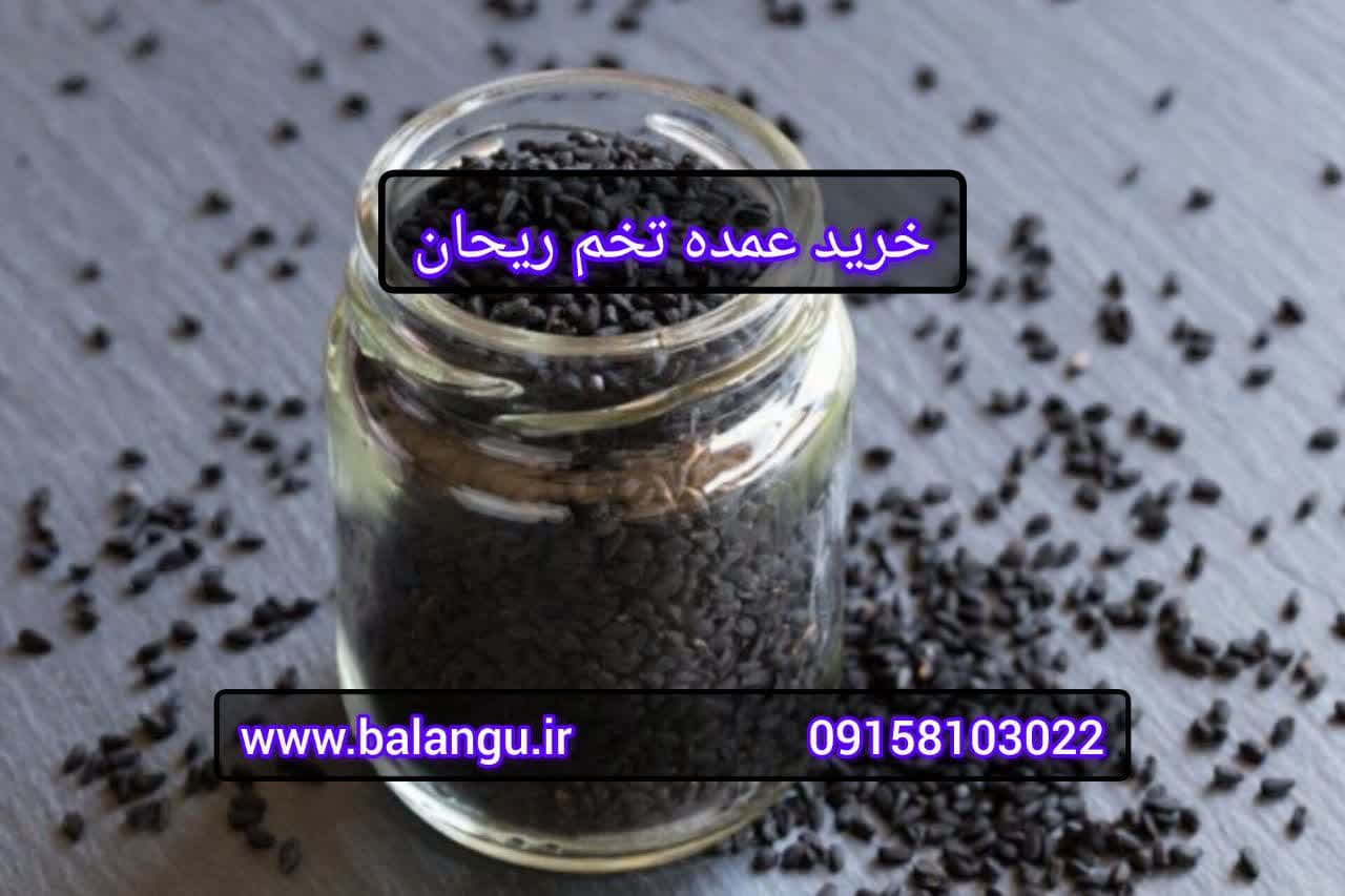خرید عمده تخم ریحان