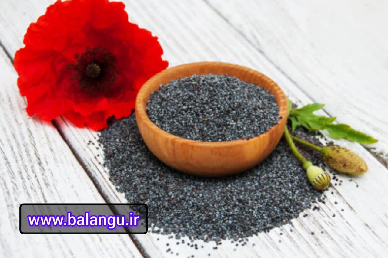 ریحان افغانی