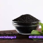 صادرات تخم ریحان درجه یک