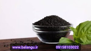 صادرات تخم ریحان درجه یک