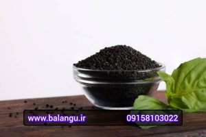 صادرات تخم ریحان درجه یک