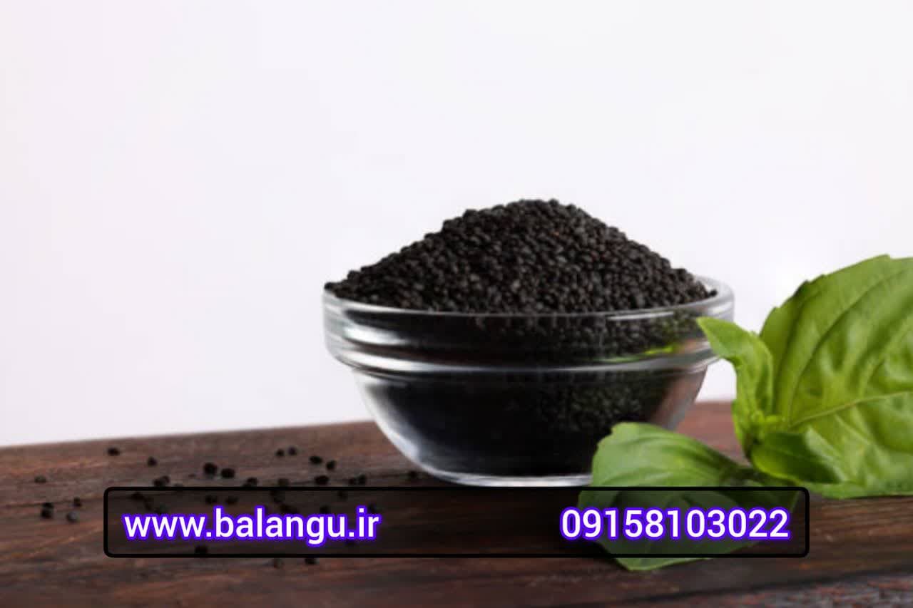 صادرات تخم ریحان درجه یک