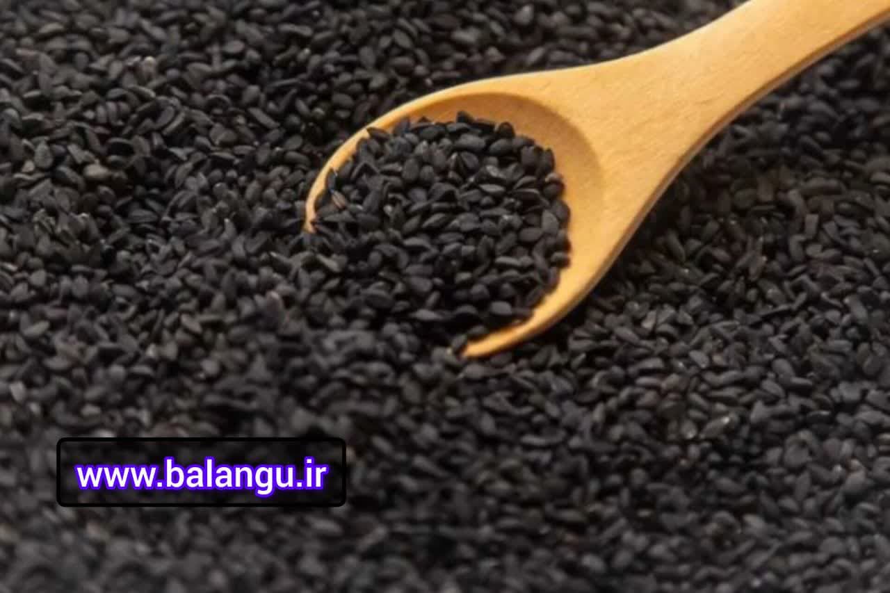 فروش عمده ریحان