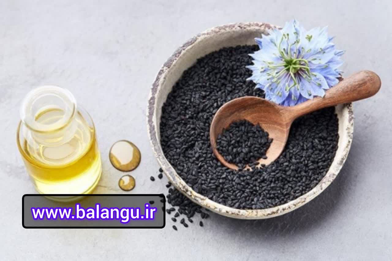 قیمت روز تخم ریحان عمده