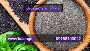 صادرات عمده تخم ریحان