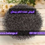 فروش عمده تخم ریحان