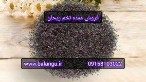 فروش عمده تخم ریحان